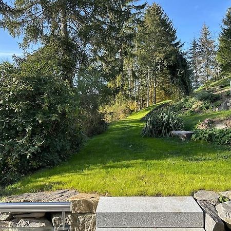 AmtsbergExclusiv Im Erzgebirgeアパートメント エクステリア 写真