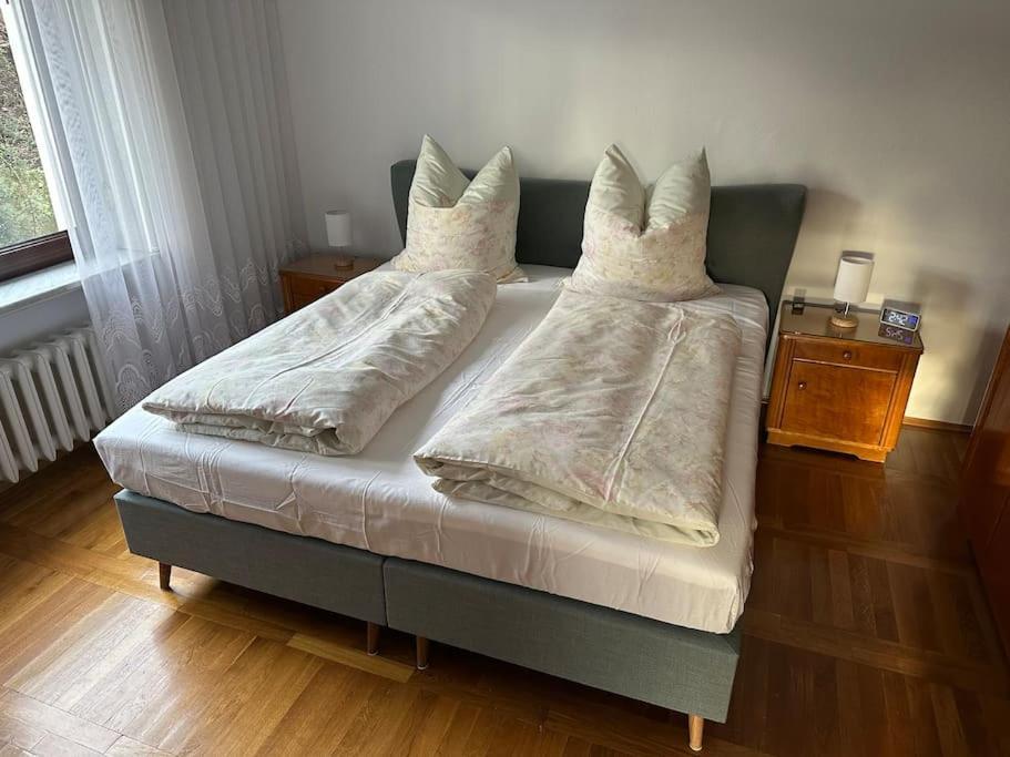 AmtsbergExclusiv Im Erzgebirgeアパートメント エクステリア 写真